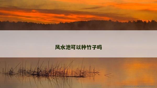 风水池可以种竹子吗