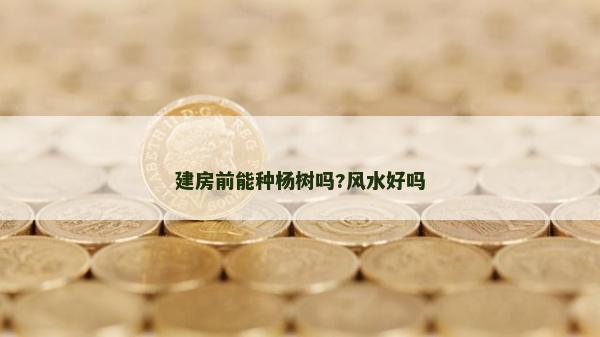 建房前能种杨树吗?风水好吗