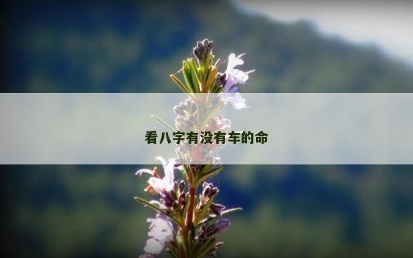 看八字有没有车的命