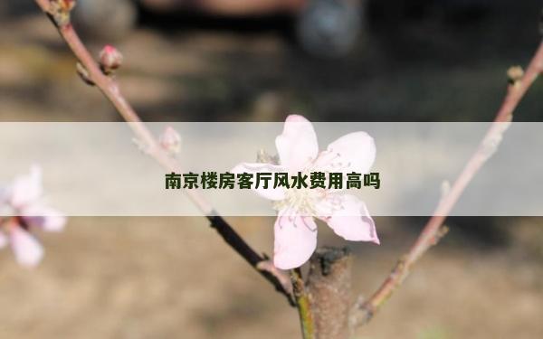 南京楼房客厅风水费用高吗