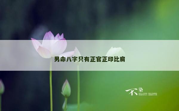 男命八字只有正官正印比肩