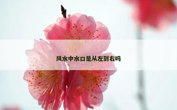 风水中水口是从左到右吗