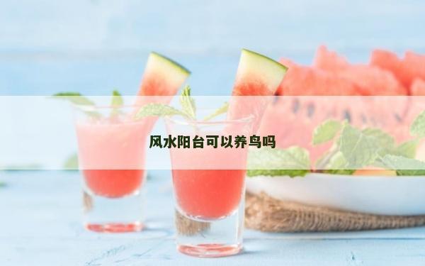 风水阳台可以养鸟吗