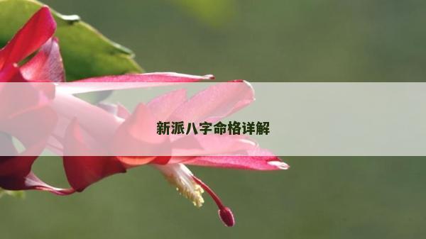 新派八字命格详解