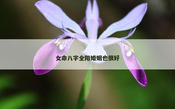 女命八字全阳婚姻也很好