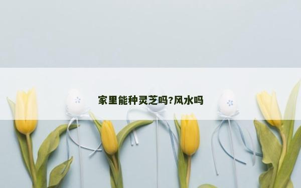 家里能种灵芝吗?风水吗