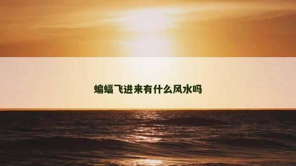 蝙蝠飞进来有什么风水吗