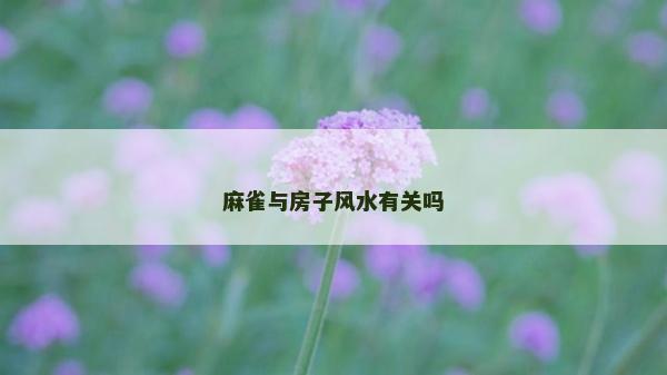 麻雀与房子风水有关吗