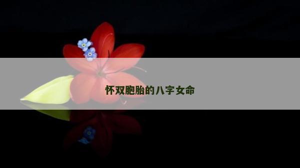 怀双胞胎的八字女命