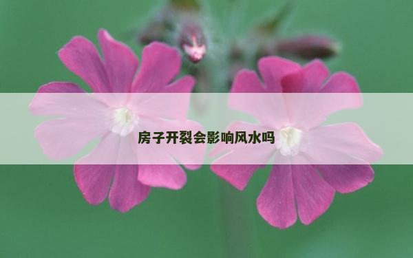 房子开裂会影响风水吗