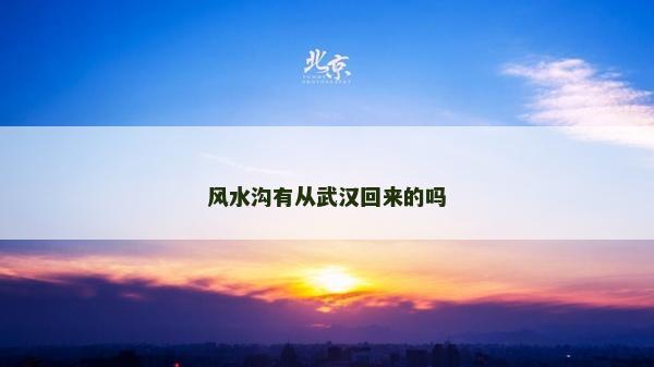 风水沟有从武汉回来的吗