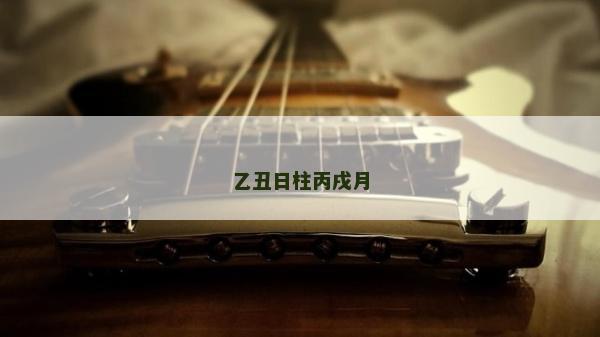 乙丑日柱丙戌月
