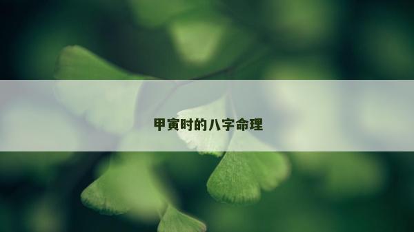 甲寅时的八字命理