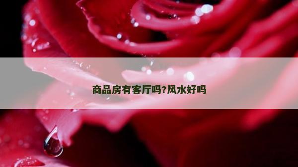 商品房有客厅吗?风水好吗