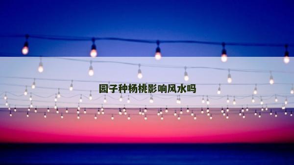 园子种杨桃影响风水吗