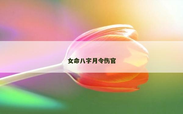 女命八字月令伤官