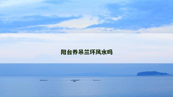 阳台养吊兰坏风水吗
