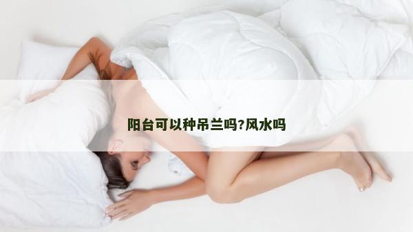 阳台可以种吊兰吗?风水吗