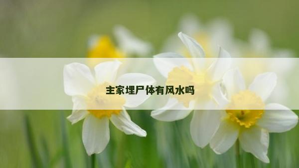 主家埋尸体有风水吗