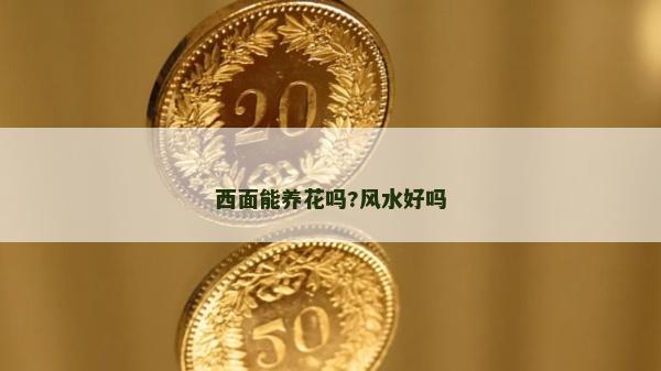 西面能养花吗?风水好吗