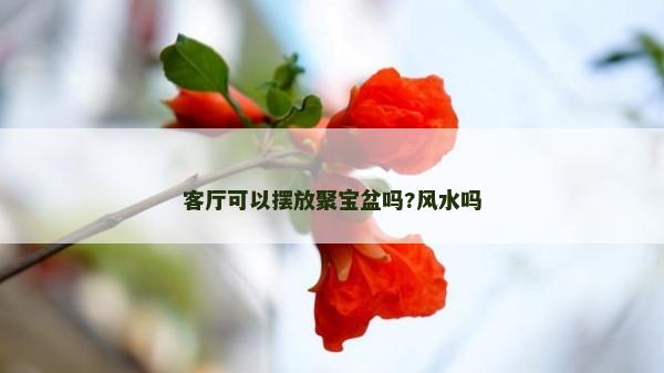 客厅可以摆放聚宝盆吗?风水吗