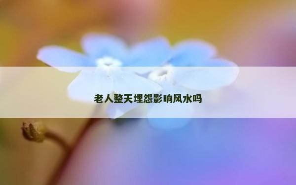 老人整天埋怨影响风水吗