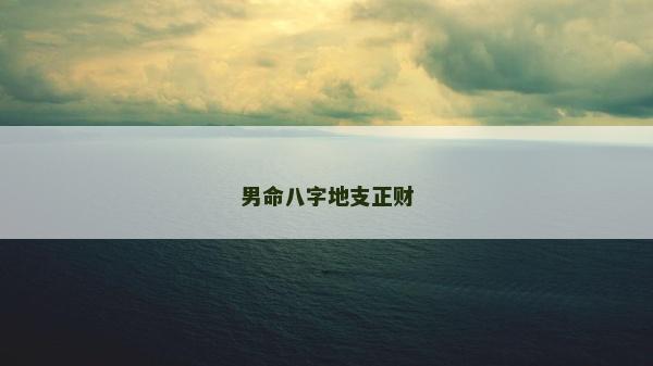 男命八字地支正财
