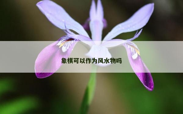 象棋可以作为风水物吗
