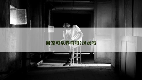卧室可以养鸟吗?风水吗