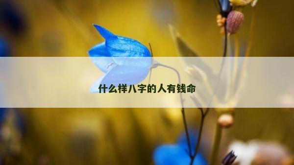 什么样八字的人有钱命