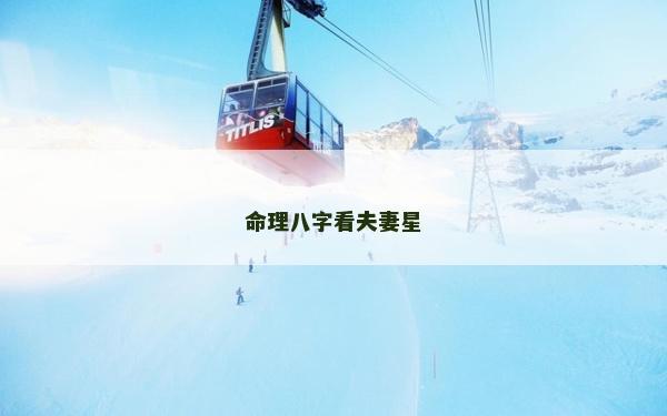 命理八字看夫妻星