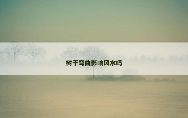 树干弯曲影响风水吗
