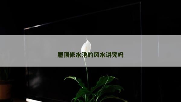 屋顶修水池的风水讲究吗