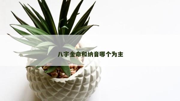 八字金命和纳音哪个为主