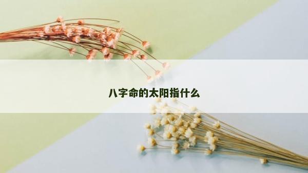 八字命的太阳指什么