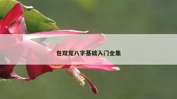 包双龙八字基础入门全集