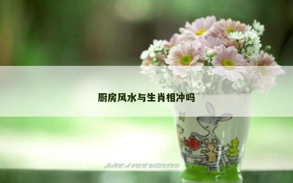 厨房风水与生肖相冲吗
