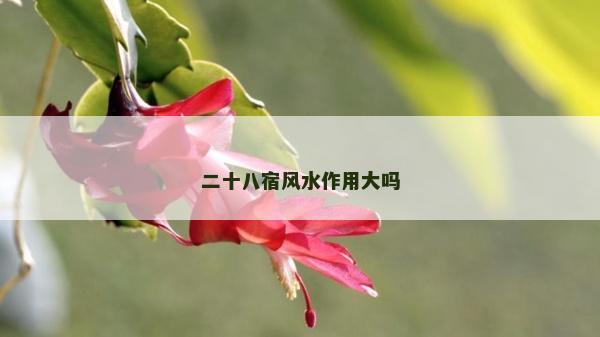 二十八宿风水作用大吗