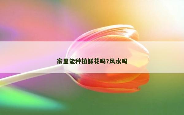 家里能种植鲜花吗?风水吗