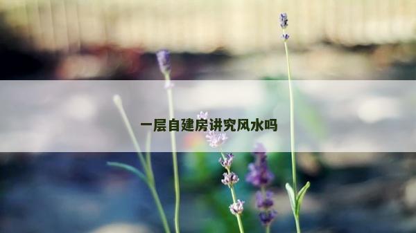 一层自建房讲究风水吗