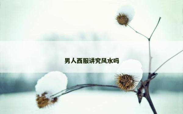 男人西服讲究风水吗