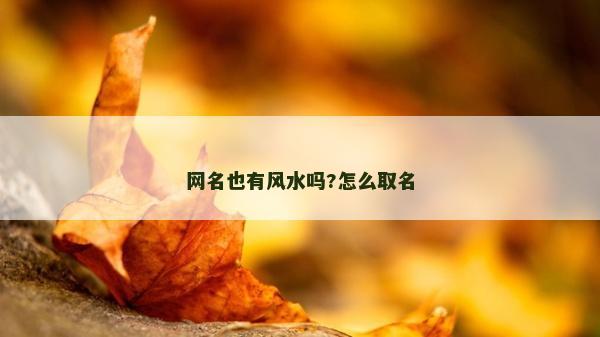 网名也有风水吗?怎么取名