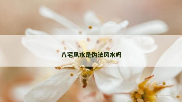 八宅风水是伪法风水吗