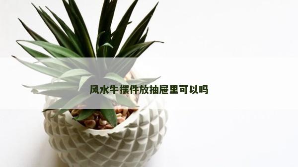 风水牛摆件放抽屉里可以吗