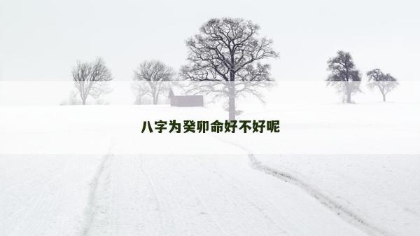 八字为癸卯命好不好呢
