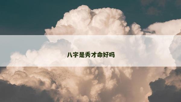 八字是秀才命好吗