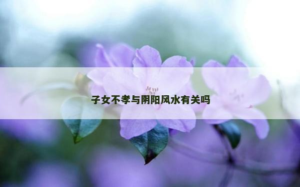 子女不孝与阴阳风水有关吗