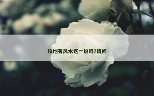 坟地有风水这一说吗?请问