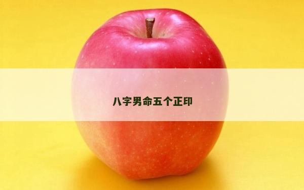 八字男命五个正印