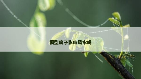 模型房子影响风水吗